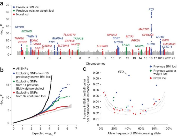 Association analyses of 249,796 individuals reveal 18 new loci associated  with body mass index | Nature Genetics