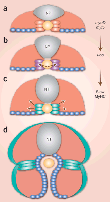 feature-image