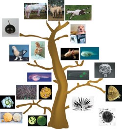 Touching base | Nature Genetics
