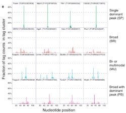 Correction: corrigendum: genome-wide analysis of mammalian promoter architecture and evolution