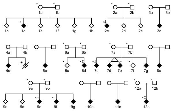 Complex inheritance of familial hypercholanemia with associated mutations in TJP2 and BAAT