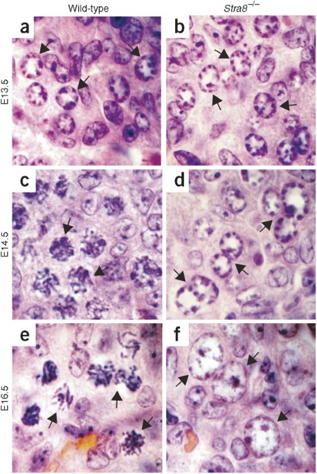 feature-image