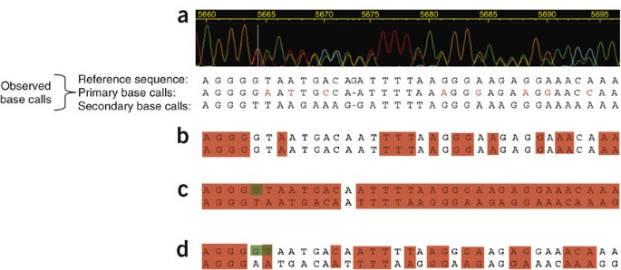 automating-resequencing-based-detection-of-insertion-deletion-polymorphisms-nature-genetics