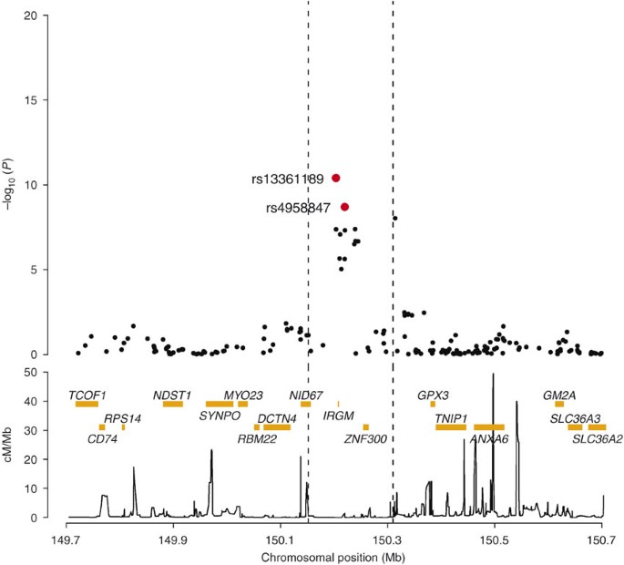 Sequence variants in the autophagy gene IRGM and multiple other replicating loci contribute to Crohn's disease susceptibility