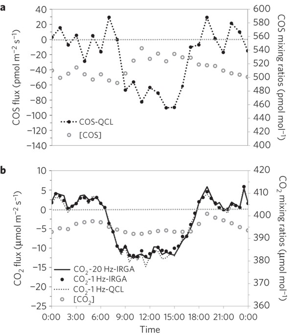 Ecosystem photosynthesis inferred from measurements of carbonyl sulphide flux