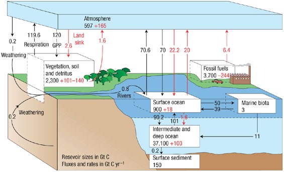 Global Nitrogen Deposition And Carbon Sinks Nature Geoscience