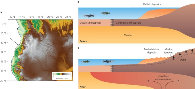 Surface sculpting by hidden agents