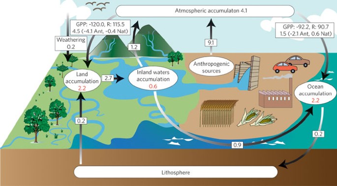 The boundless carbon cycle | Nature Geoscience