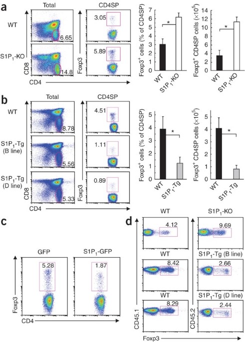 The receptor S1P1 overrides regulatory T cell–mediated immune suppression through Akt-mTOR