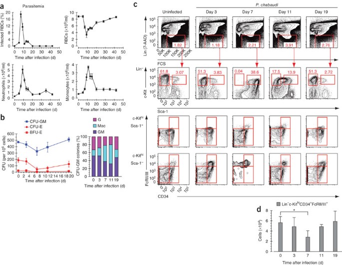 Induction of an il7-r+c-kithi myelolymphoid progenitor critically dependent on ifn-γ signaling during acute malaria