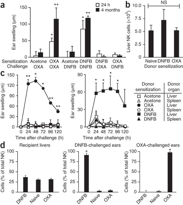 Critical role for the chemokine receptor cxcr6 in nk cell–mediated antigen-specific memory of haptens and viruses