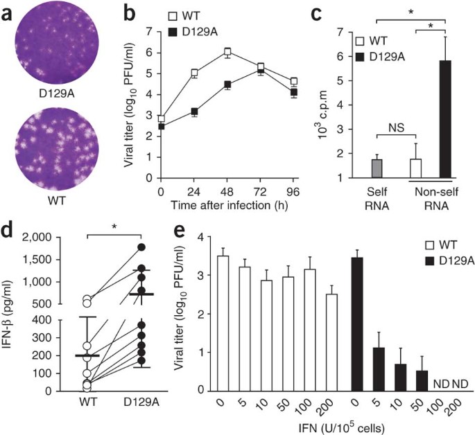 2′-O methylation of the viral mRNA cap evades host restriction by IFIT  family members