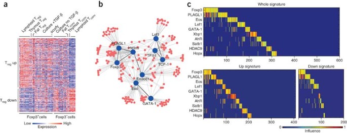 A multiply redundant genetic switch 'locks in' the transcriptional signature of regulatory t cells