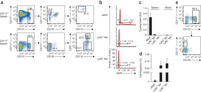 Origin of monocytes and macrophages in a committed progenitor