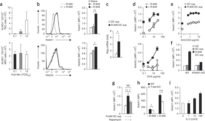 A central role for notch in effector cd8+ t cell differentiation