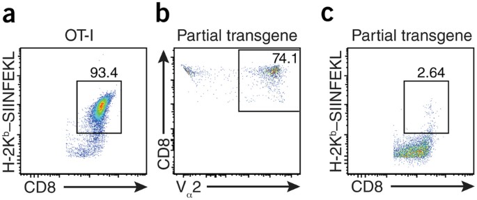 Spontaneous Partial Loss Of The Ot I Transgene Nature Immunology