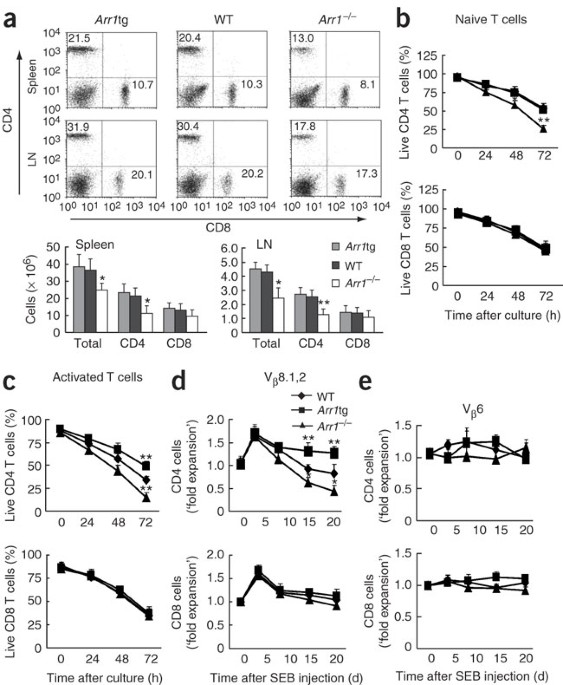 Critical regulation of cd4+ t cell survival and autoimmunity by β-arrestin 1