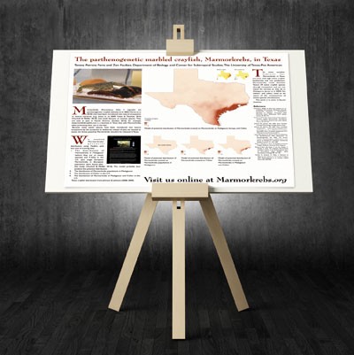 feature-image