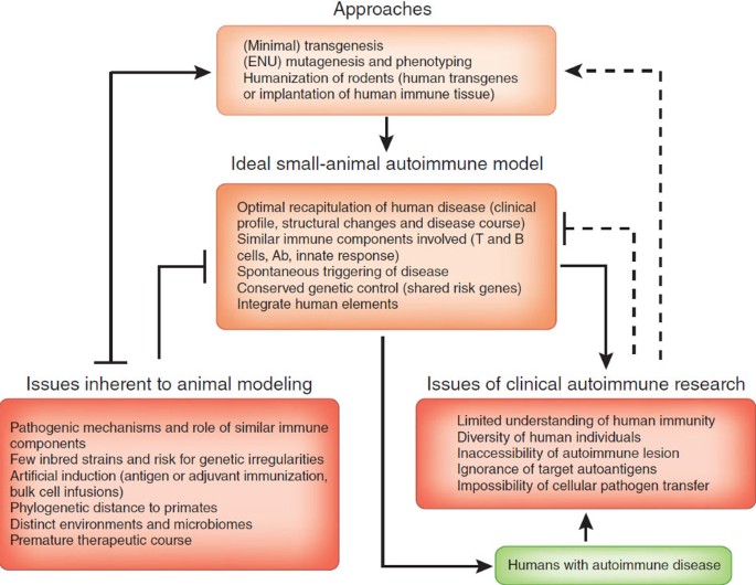Autoimmunity's next top models | Nature Medicine Autoimmunity's next top models | Nature Medicine