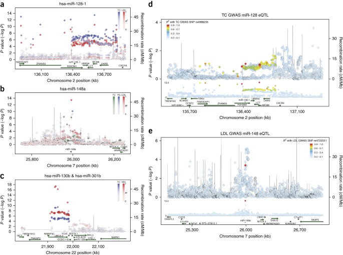 Genome Wide Identification Of Micrornas Regulating Cholesterol And Triglyceride Homeostasis Nature Medicine