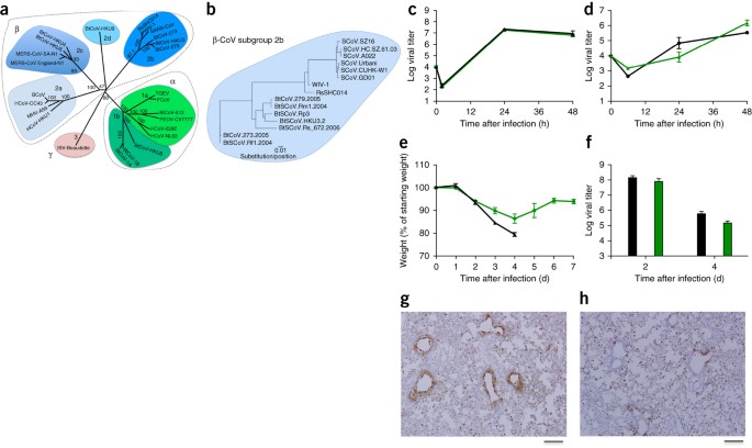                               Nature Medicine                          volume  21, pages  1508–1513 (2015 )Cite this article                      