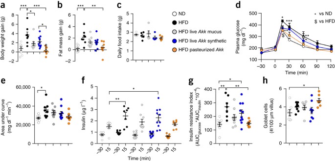 beundre banan Megalopolis A purified membrane protein from Akkermansia muciniphila or the pasteurized  bacterium improves metabolism in obese and diabetic mice | Nature Medicine