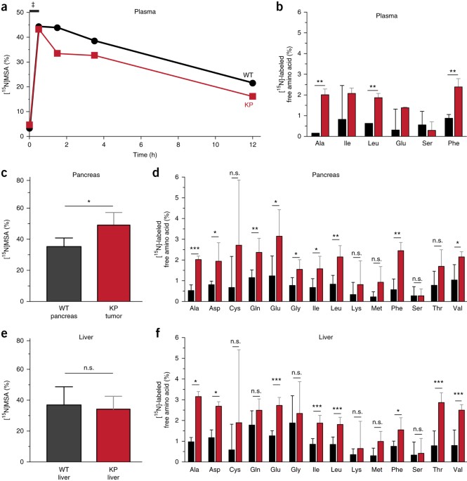 Direct Evidence For Cancer Cell Autonomous Extracellular Protein Catabolism In Pancreatic Tumors Nature Medicine