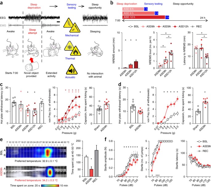 decreased alertness due to sleep loss increases pain sensitivity in mice nature medicine