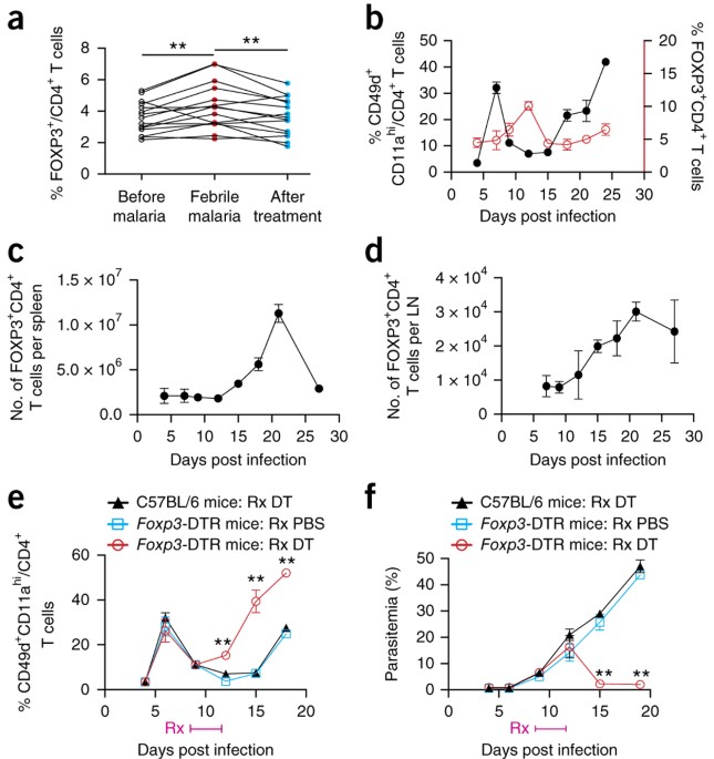 Regulatory t cells impede acute and long-term immunity to blood-stage malaria through ctla-4