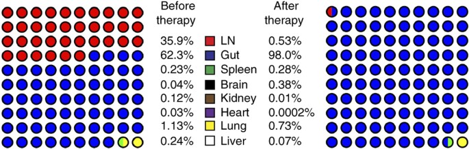 Defining total-body AIDS-virus burden with implications for