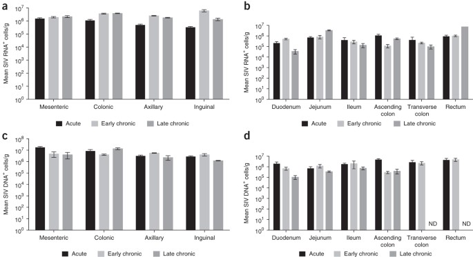 Defining total-body AIDS-virus burden with implications for