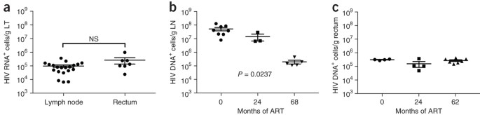 Defining total-body AIDS-virus burden with implications for