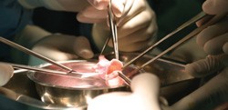 A pipe dream becomes reality | Nature Medicine