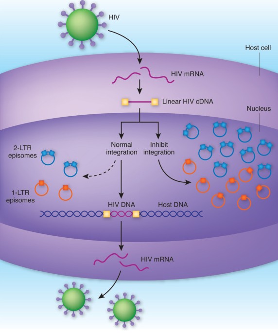 New tools to track HIV | Nature Medicine