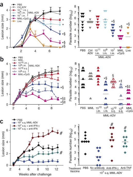 Immunization of Mice with a Live Transconjugant Shigella Hybrid Strain  Induced Th1 and Th17 Cell‐Mediated Immune Responses and Confirmed Passive  Protection Against Heterologous Shigellae - Nag - 2016 - Scandinavian  Journal of