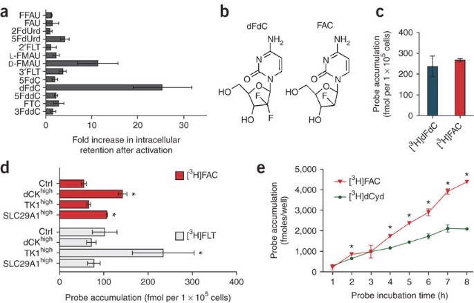 Molecular Imaging Of Lymphoid Organs And Immune Activation By Positron Emission Tomography With A New 18 F Labeled 2 Deoxycytidine Analog Nature Medicine