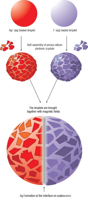 Magnetic chaperones for droplets
