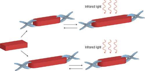 Remote-controlled actuators | Nature Materials