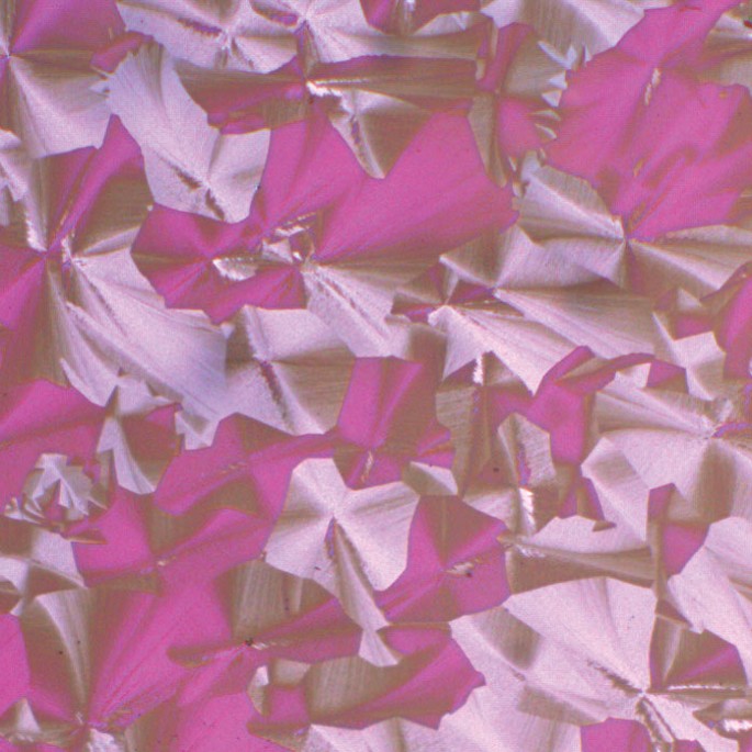 feature-image