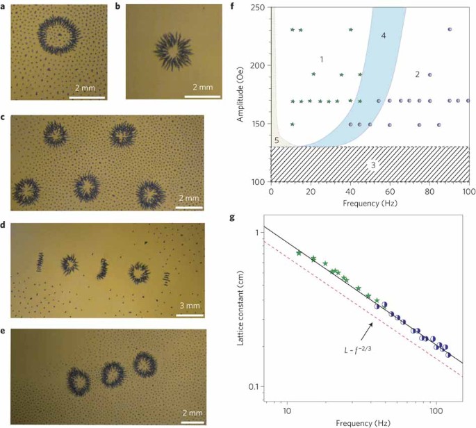 Magnetic manipulation of self-assembled colloidal asters