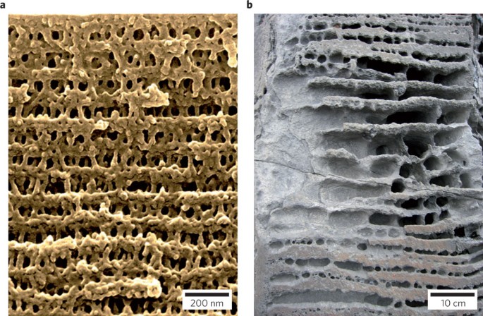 feature-image