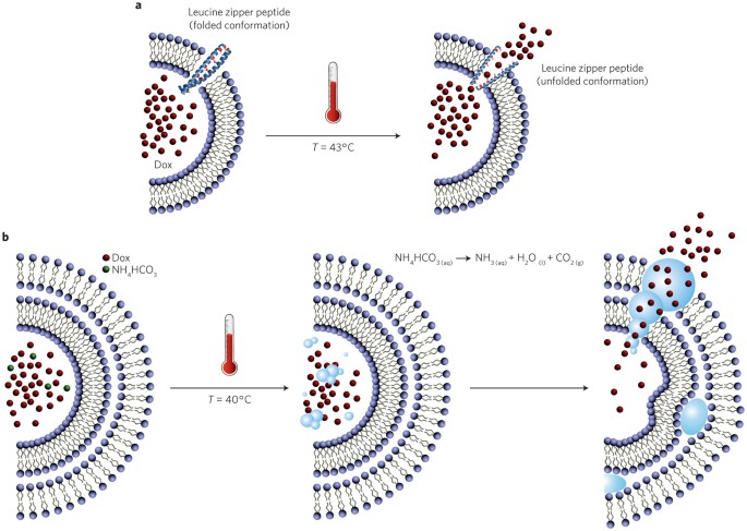 Integrated and dual-responsive lipopeptide nanovector with