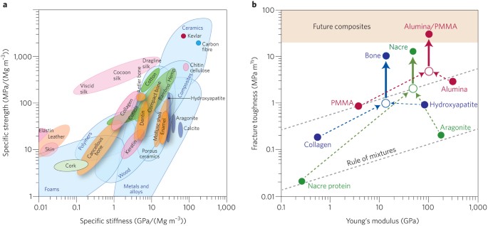 Bioinspired structural materials | Nature Materials