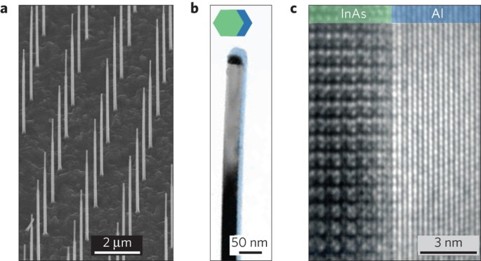Uddybe sprede Withered Epitaxy of semiconductor–superconductor nanowires | Nature Materials