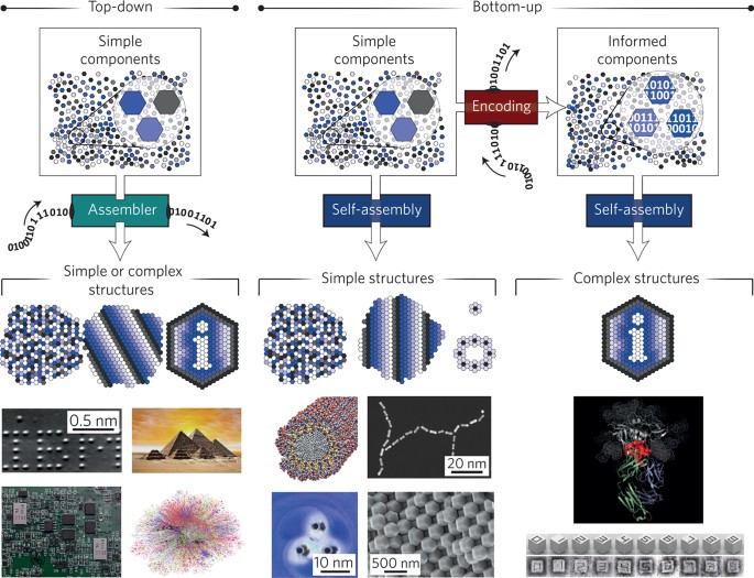 Programmable self-assembly | Nature Materials