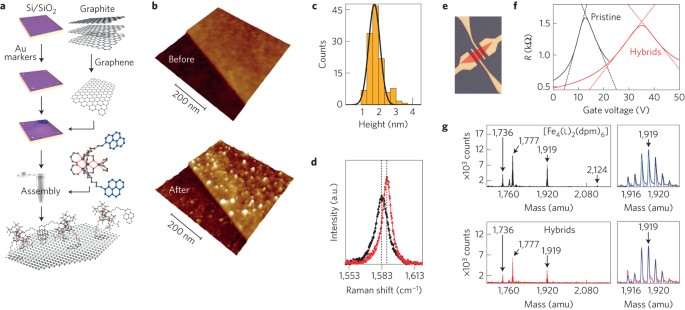 The classical and quantum dynamics of molecular spins on graphene