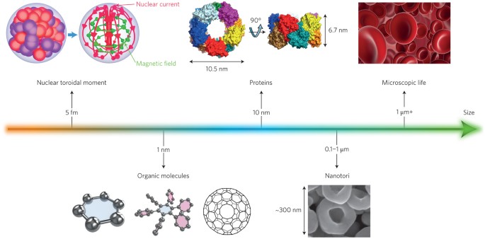 Electromagnetic toroidal excitations in matter and free space - Nature Materials