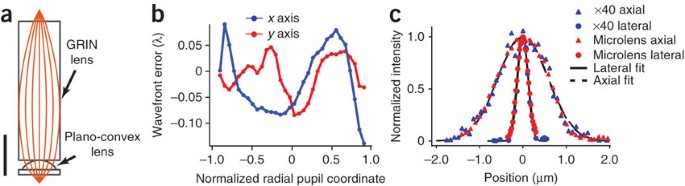 In Vivo Fluorescence Imaging With High Resolution Microlenses Nature Methods
