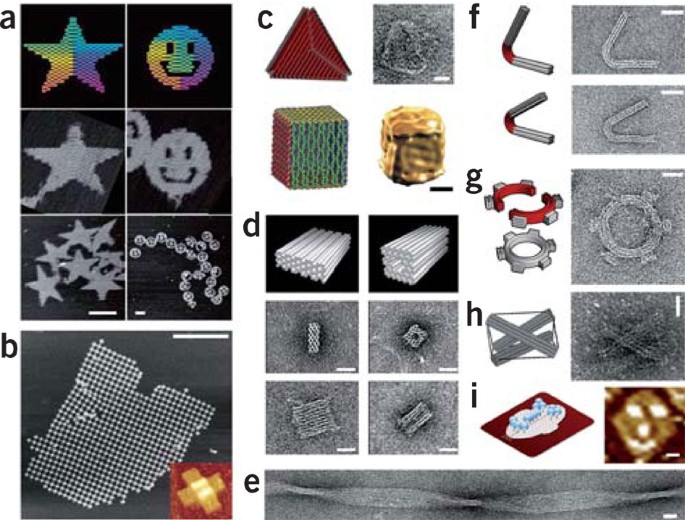A primer to scaffolded DNA origami | Nature Methods