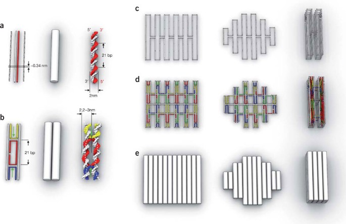 Harnessing a paper-folding mechanism for reconfigurable DNA origami